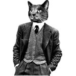 Mayskiy Kat