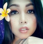 WiseFoxN